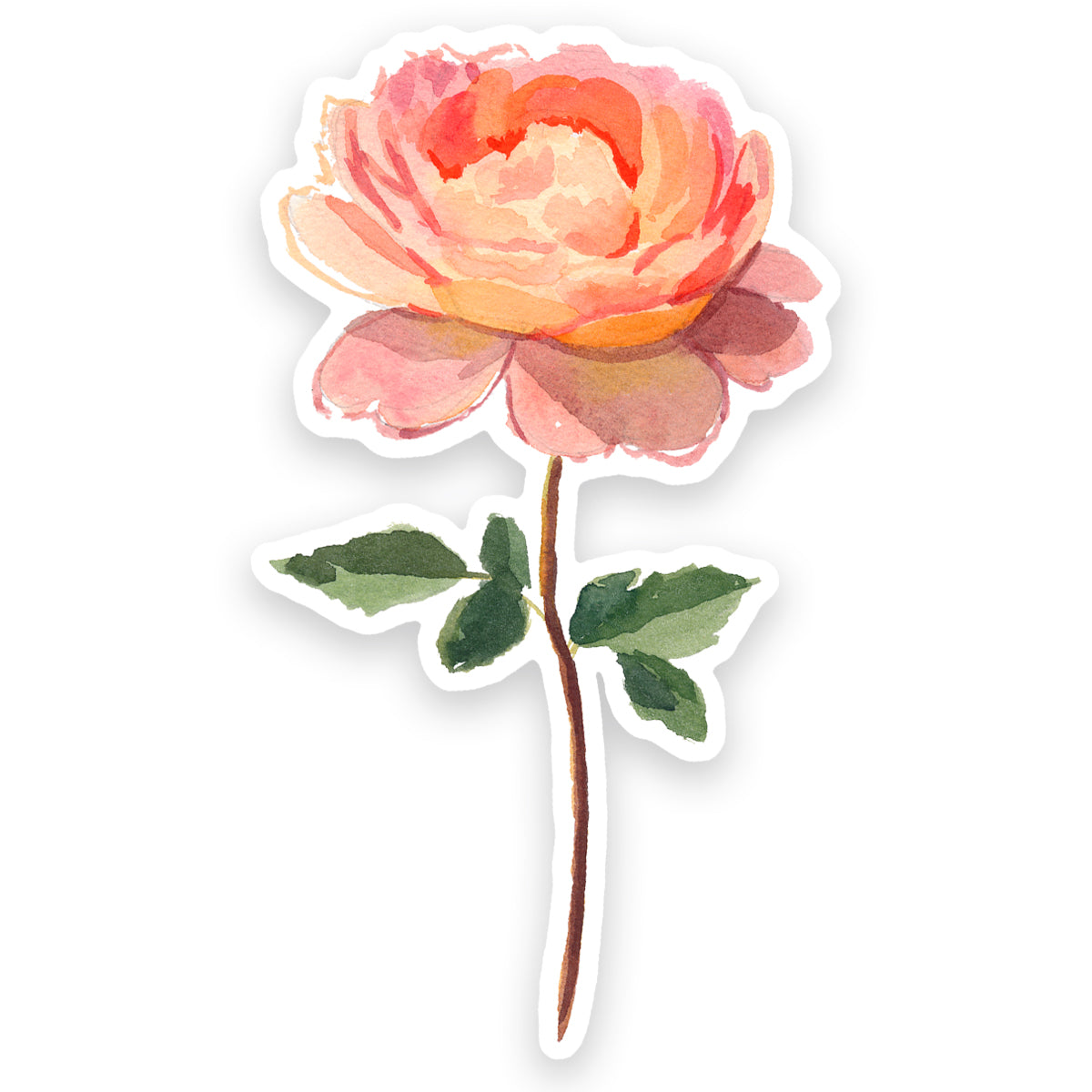 coral rose sticker